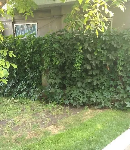 Guest house Dom V Arkadii Odesa